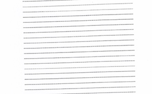 Recours auprès du CNOSF: La liste Ethève a-t-elle falsifié le PV d'élection ?