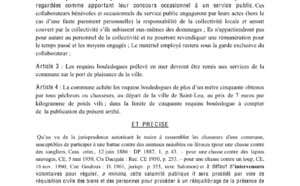 Chasse aux requins : Le projet d'arrêté municipal de Thierry Robert