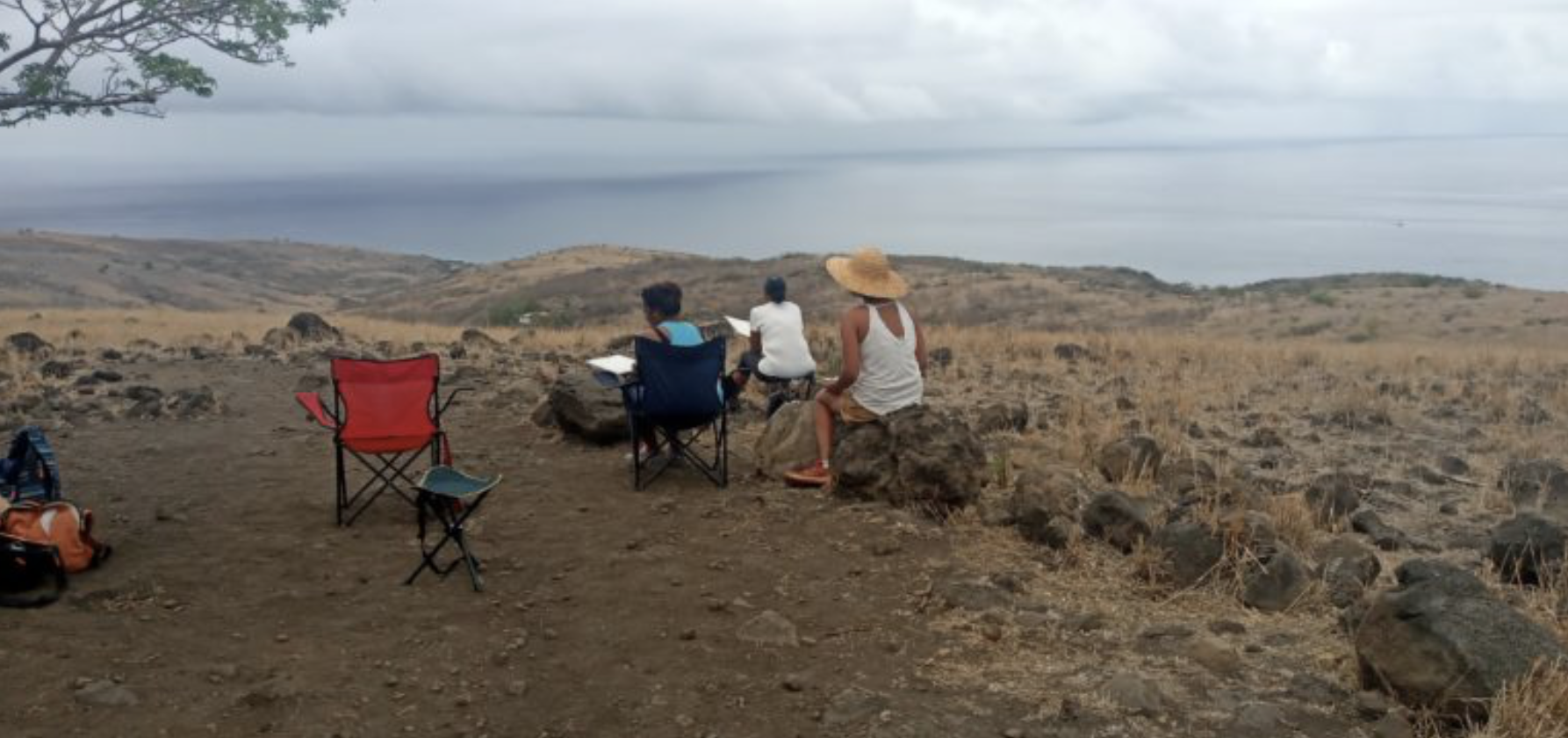 Découvrez, sans plus tarder, le planning des ateliers Savane pour le mois d’avril 2021 !