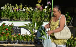 La foire agricole de Bras-Panon en images