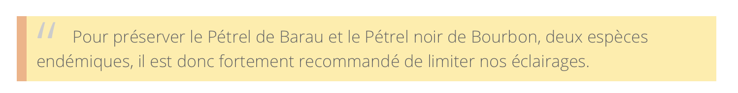 Les jours de la nuit 2021 | Une idée lumineuse…