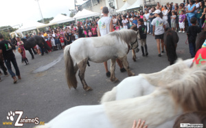Zanimos 2013 est parvenu à attirer 40.000 visiteurs