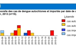 Dengue : 13 cas dont 7 confirmés