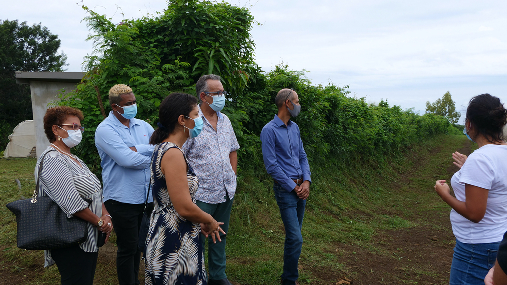 Vanessa Miranville à la rencontre du monde agricole réunionnais