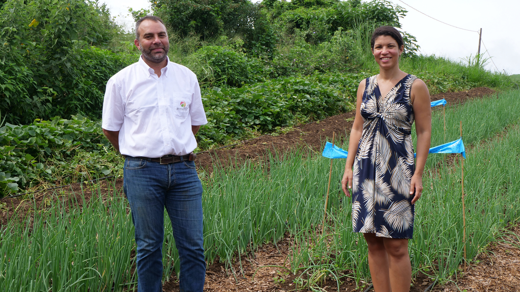 Vanessa Miranville à la rencontre du monde agricole réunionnais