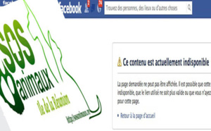 SOS Animaux 974 fait fermer des groupes internet d'échanges d'animaux