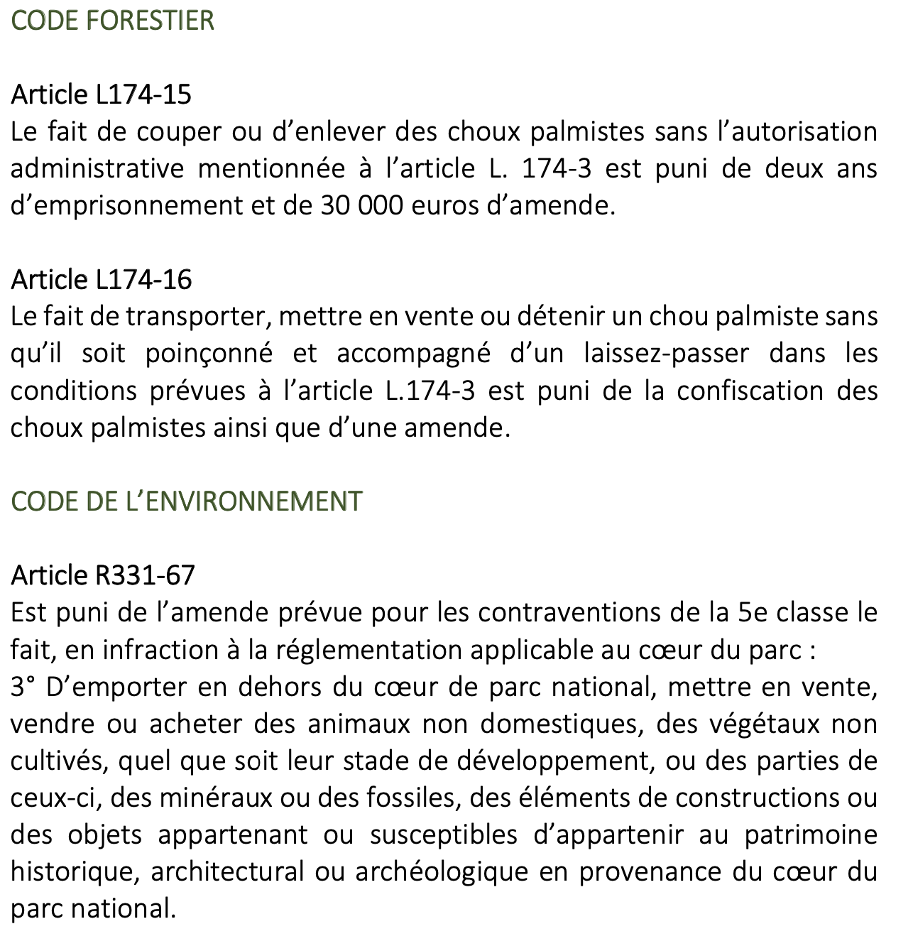 Stop au braconnage de palmistes ! Faites un geste pour la biodiversité de notre île