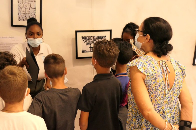 « Arbres connus et méconnus de la Saline-les-Bains et Saint-Gilles-les-Bains », les enfants découvrent leur exposition à la longère Sudel FUMA à Saint-Paul.