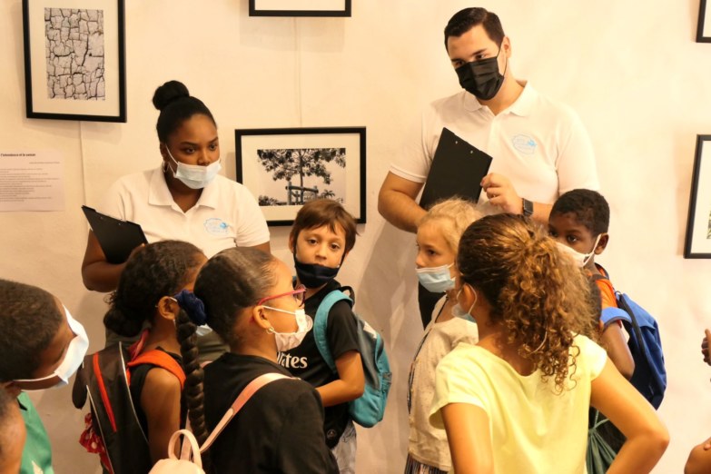 « Arbres connus et méconnus de la Saline-les-Bains et Saint-Gilles-les-Bains », les enfants découvrent leur exposition à la longère Sudel FUMA à Saint-Paul.