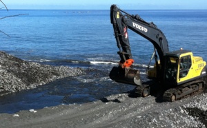Baie de St-Paul: La station d'épuration n'est pas responsable de l'attaque de requin