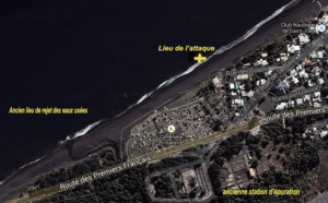 Baie de St-Paul: La station d'épuration n'est pas responsable de l'attaque de requin