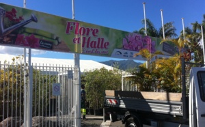 Le Port: Flore et Halle 2013 croque dans la canne