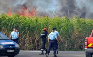 20 hectares de cannes brûlés : Les incendies de Sainte-Marie en images