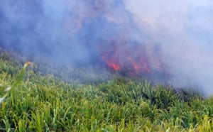 20 hectares de cannes brûlés : Les incendies de Sainte-Marie en images