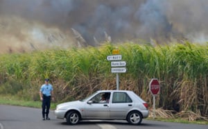 20 hectares de cannes brûlés : Les incendies de Sainte-Marie en images