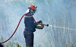 20 hectares de cannes brûlés : Les incendies de Sainte-Marie en images