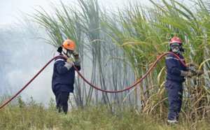 20 hectares de cannes brûlés : Les incendies de Sainte-Marie en images