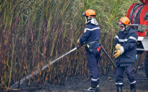 20 hectares de cannes brûlés : Les incendies de Sainte-Marie en images