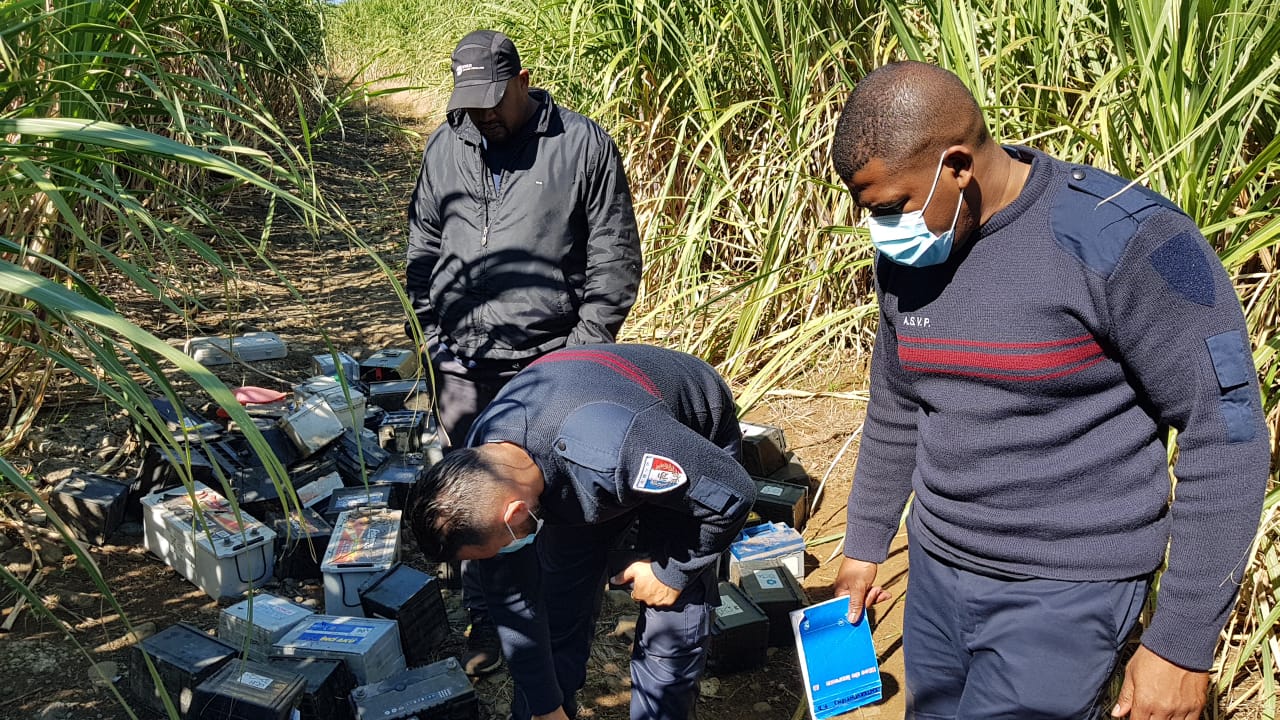 Makote puissance 1000 : Une centaine de batteries retrouvées dans un champ de cannes à Ste-Marie