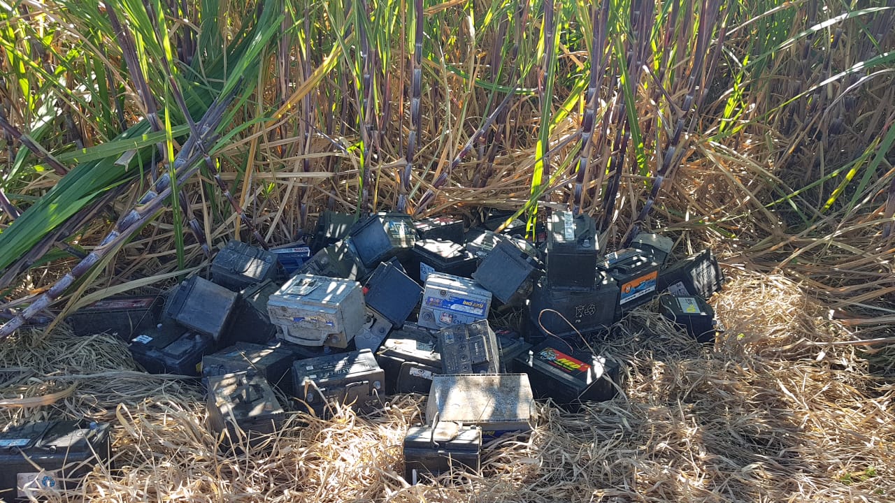 Makote puissance 1000 : Une centaine de batteries retrouvées dans un champ de cannes à Ste-Marie