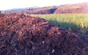 Un taux de plomb jusqu'à quatre fois plus élevé que la norme dans le compost