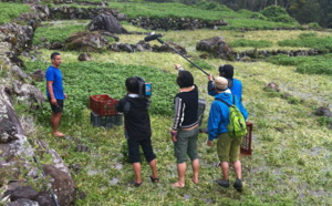 La télé japonaise en tournage à la Réunion