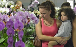 Le salon Flore et Halle 2013 en images
