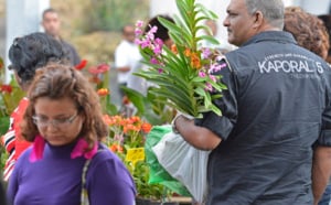 Le salon Flore et Halle 2013 en images