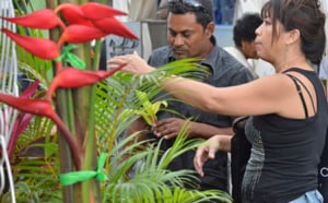 Le salon Flore et Halle 2013 en images