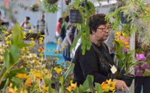 Le salon Flore et Halle 2013 en images