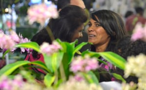 Le salon Flore et Halle 2013 en images