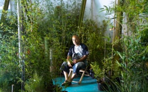 Le salon Flore et Halle 2013 en images