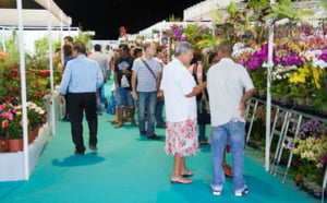 Le salon Flore et Halle 2013 en images