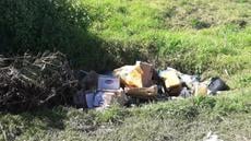 Le bilan hebdomadaire de Band Cochons