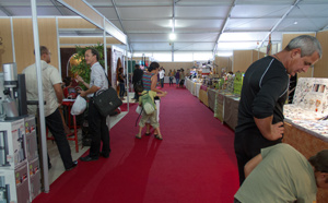 Le salon Expobois et Habitat ouvre son savoir-faire au public