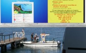 Vie Océane dénonce: Des restes de requins retrouvés dans le lagon de l'Etang-Salé