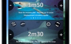 Wave Réunion: Une application smartphone anti-requin