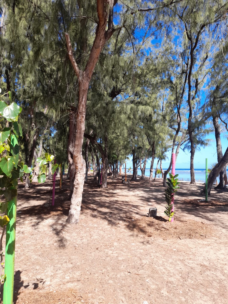 Les plages de l'Ouest désertées à cause du confinement