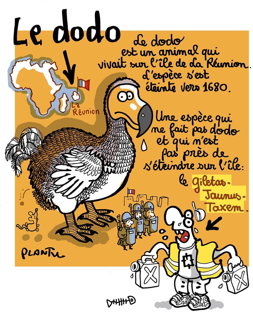 Un dessin de Plantu en hommage au personnel soignant du CHU de La Réunion