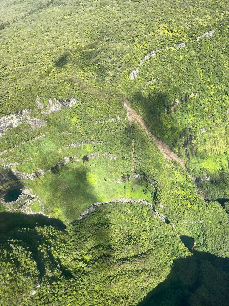 Fermeture du Belvédère du Trou de Fer, en forêt de Bélouve