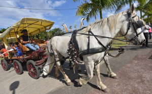 St-André : La fête du cheval en images