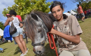 St-André : La fête du cheval en images