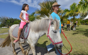 St-André : La fête du cheval en images