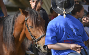 St-André : La fête du cheval en images