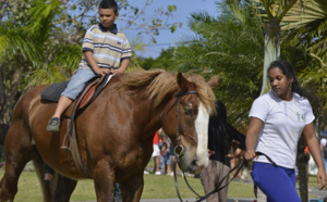 St-André : La fête du cheval en images
