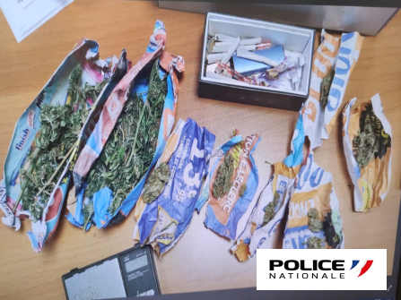 Plus de 46 kg de cannabis saisis à Basse-Terre par les policiers