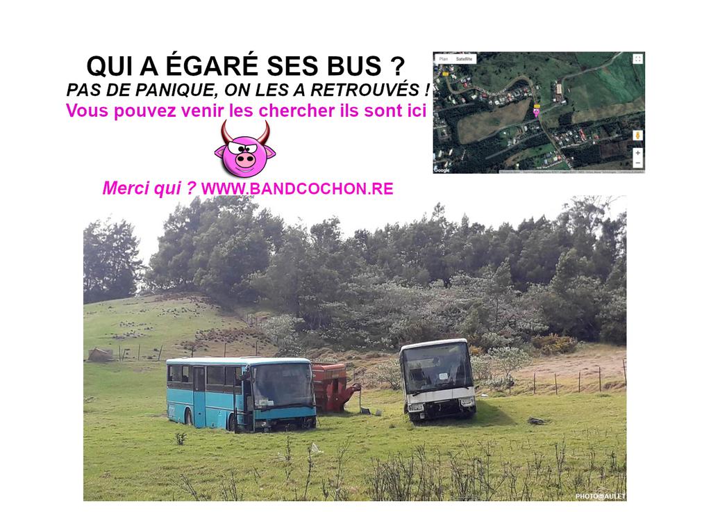 Plastique et carcasses au menu du World clean up