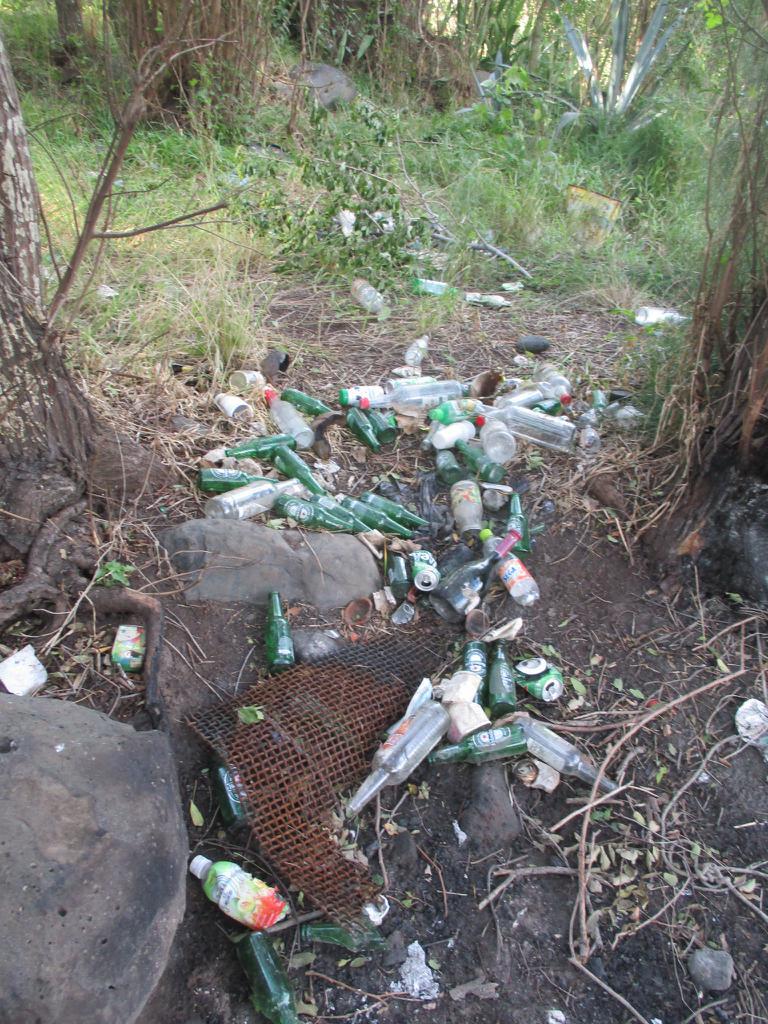 Plastique et carcasses au menu du World clean up