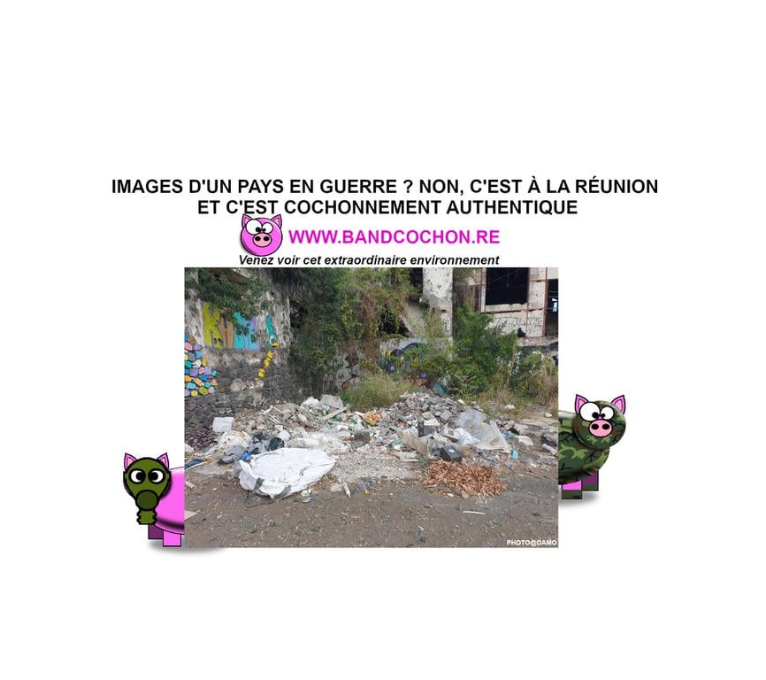 Plastique et carcasses au menu du World clean up