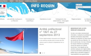 Risque requin: Le site 